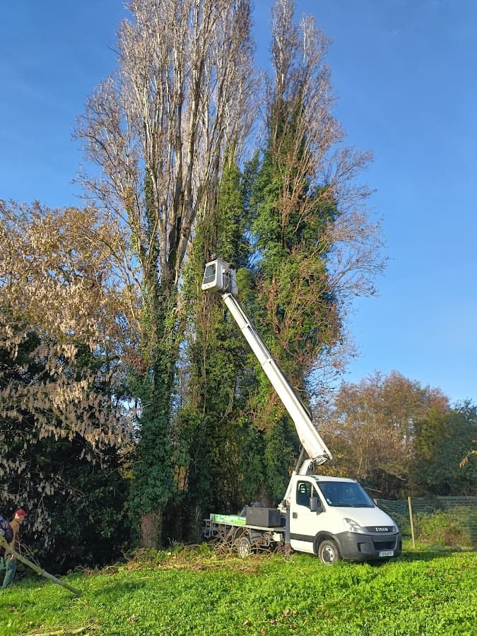 Élagage nacelle grands arbres · Vendée